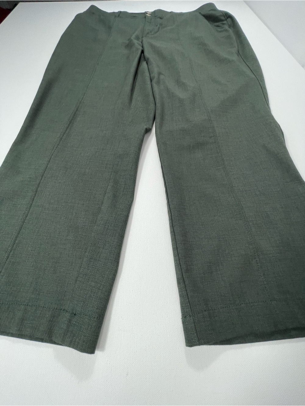 Democracy Dressy Pants, Women's Size 16W, Green, Ab Solution, SKU#0221
